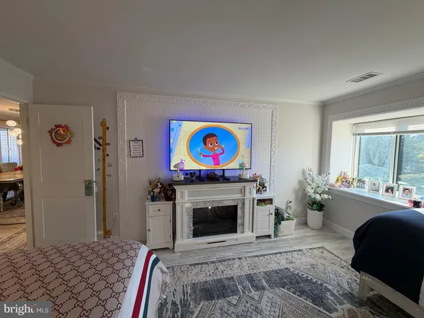 a living room with furniture bathtub and a fireplace