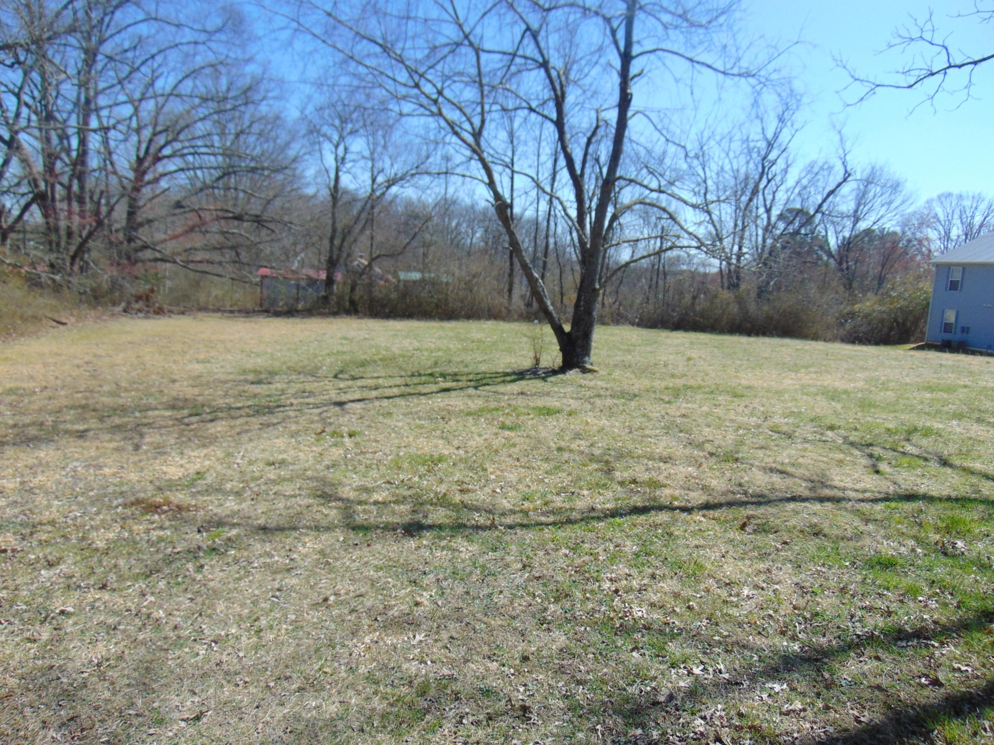 240 Rugby Avenue Jamestown, TN 38556 - Photo 3 of 16 Gallery Image 3