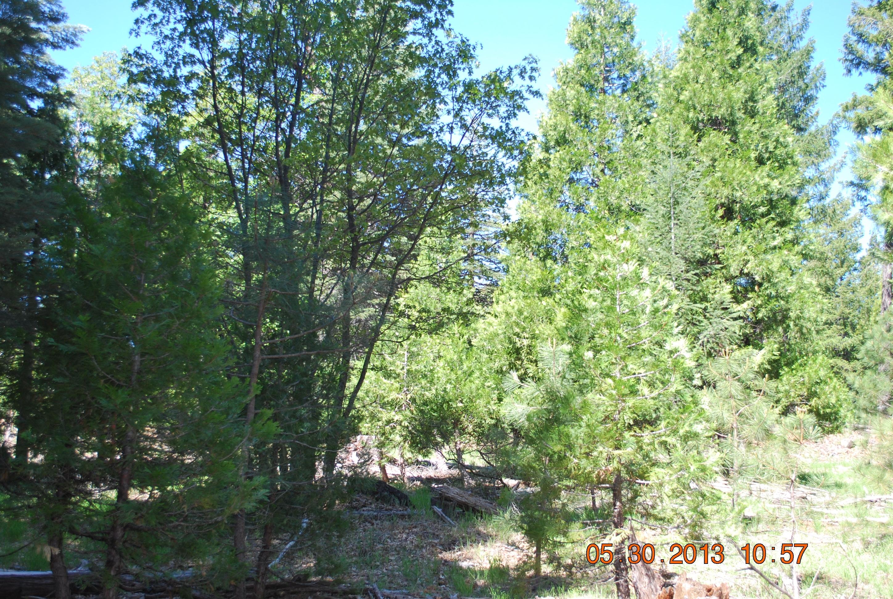 Lot # Lake Mccumber Road Shingletown, CA 96088 - Photo 3 of 5 Property 2