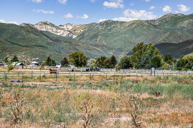 358 North Whitaker Farm Way Midway, UT 84049 - Photo 46 of 47