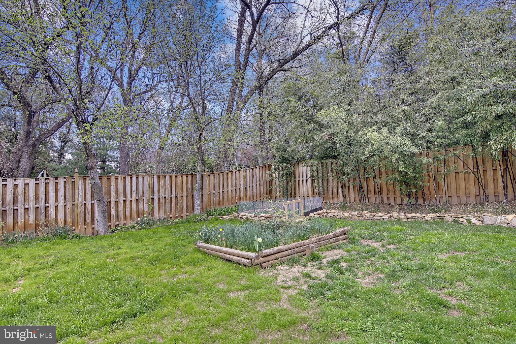 702 Wayne Avenue Silver Spring, MD 20910 - Photo 34 of 41 Backyard with gardens