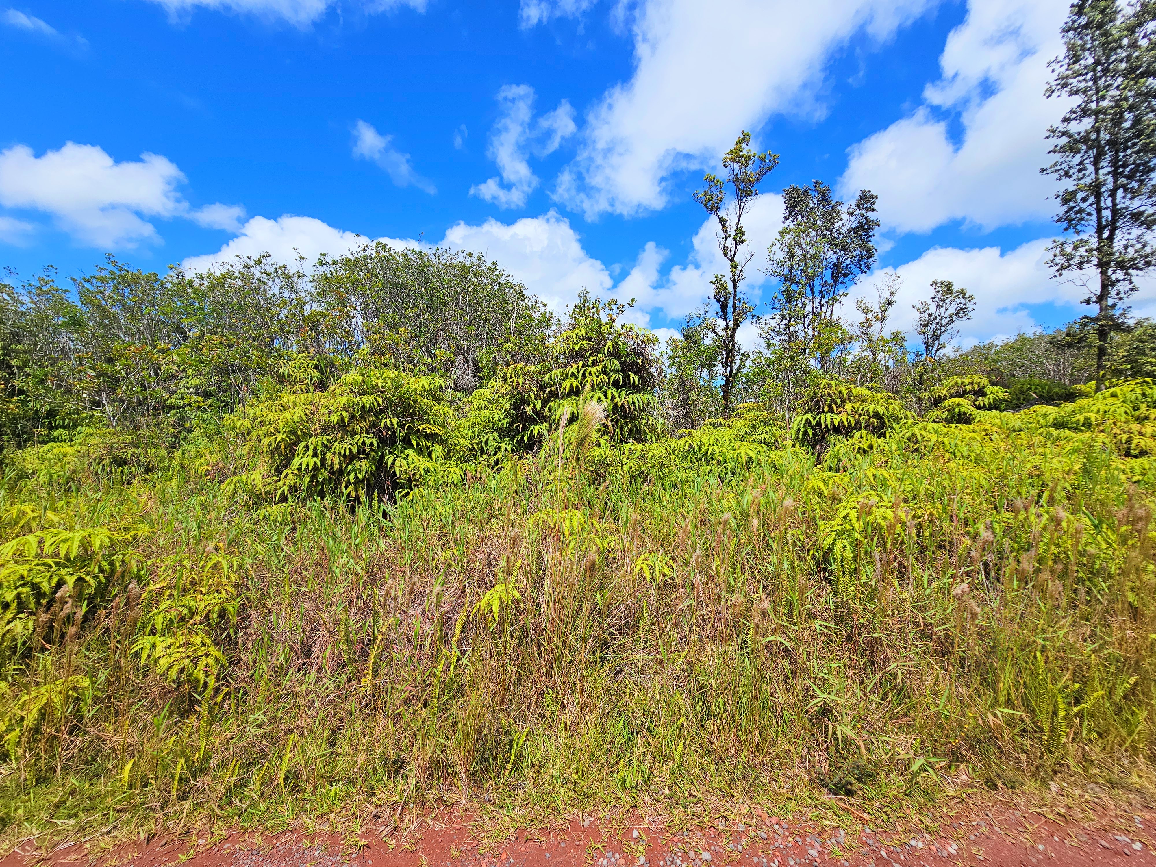 8531 Apele Road Mountain View, HI 96771 - Photo 2 of 15 Gallery Image 2