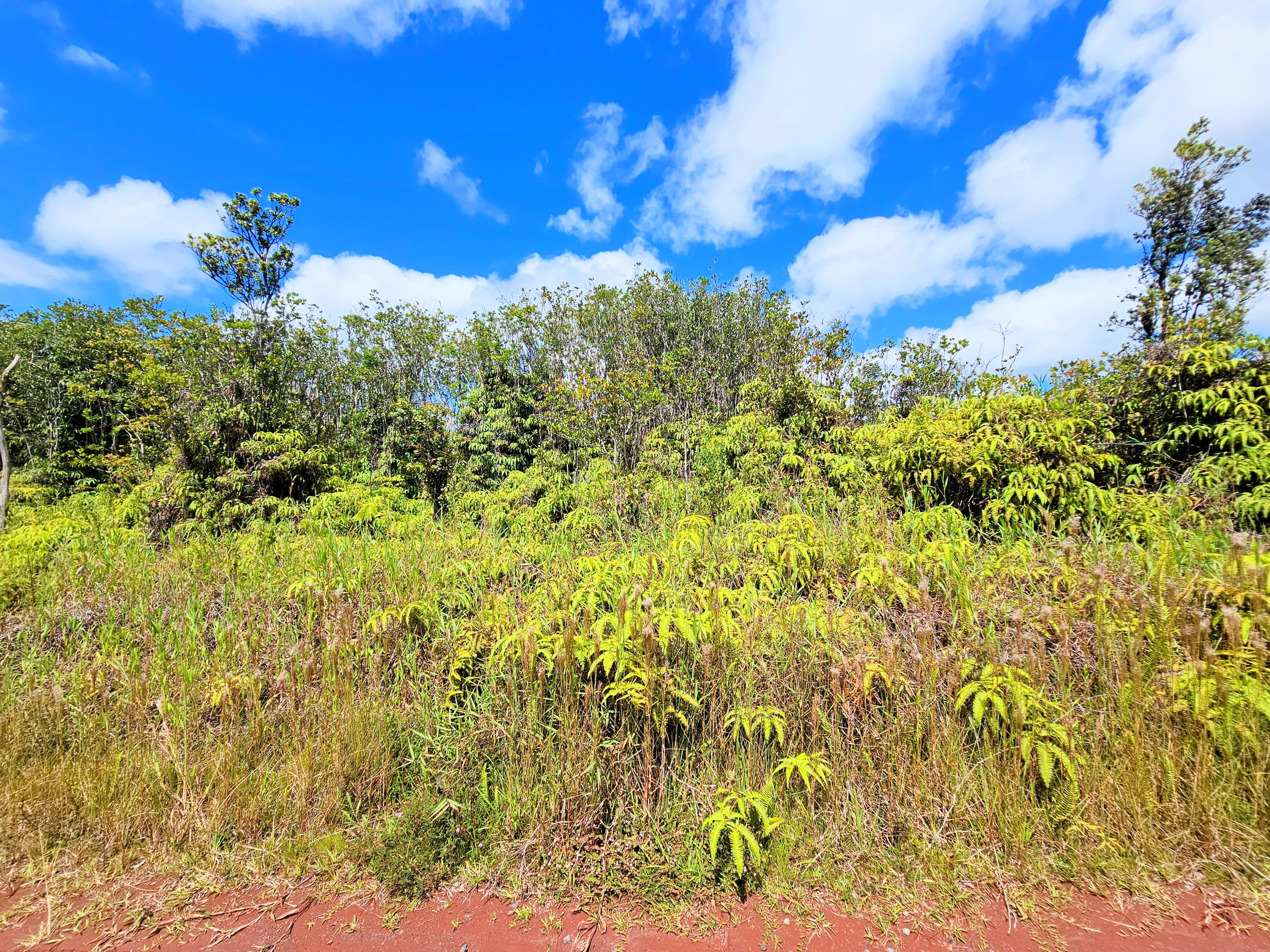8531 Apele Road Mountain View, HI 96771 - Photo 3 of 15 Gallery Image 3