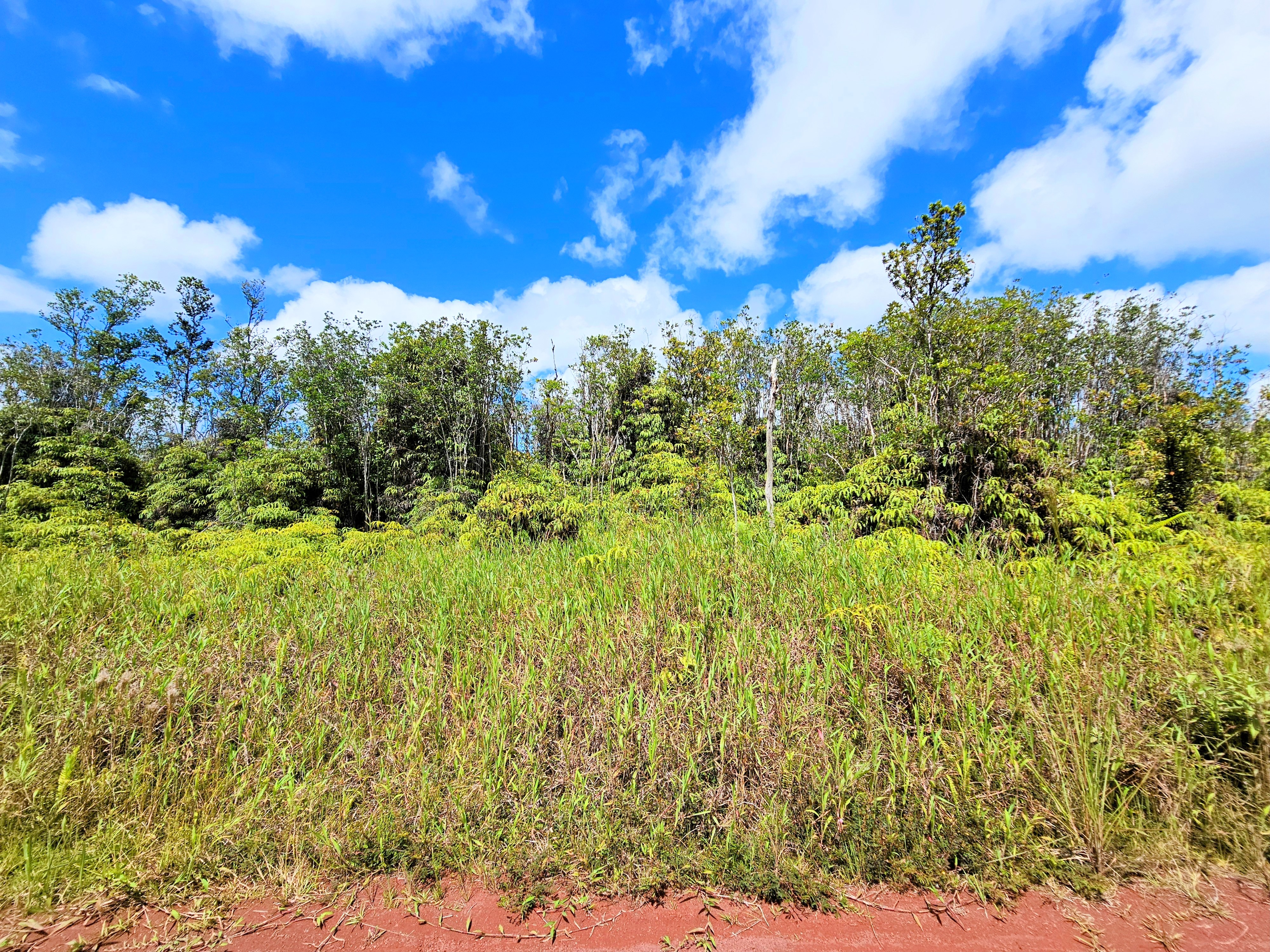 8531 Apele Road Mountain View, HI 96771 - Photo 4 of 15 Gallery Image 4