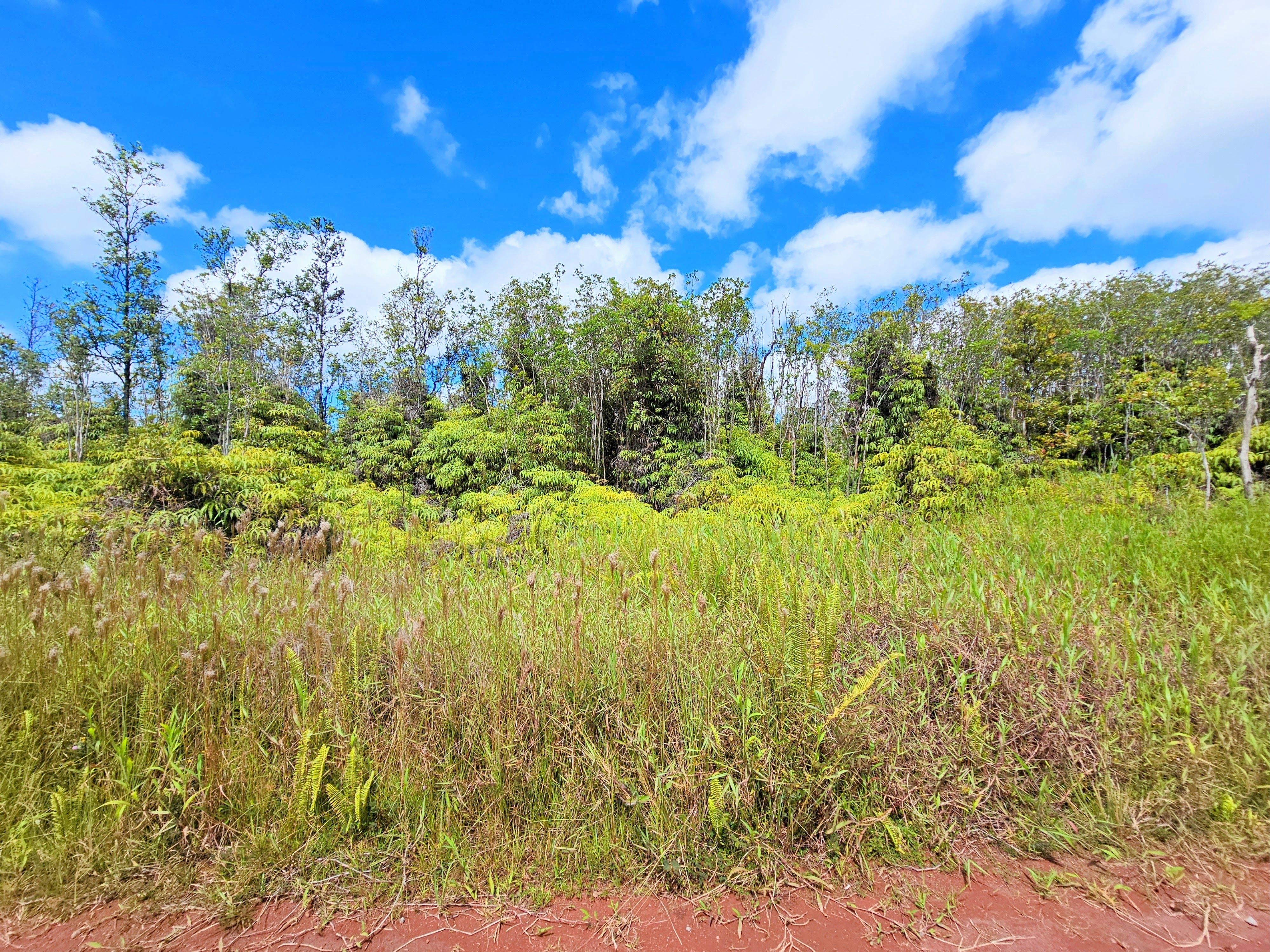 8531 Apele Road Mountain View, HI 96771 - Photo 5 of 15 Gallery Image 5