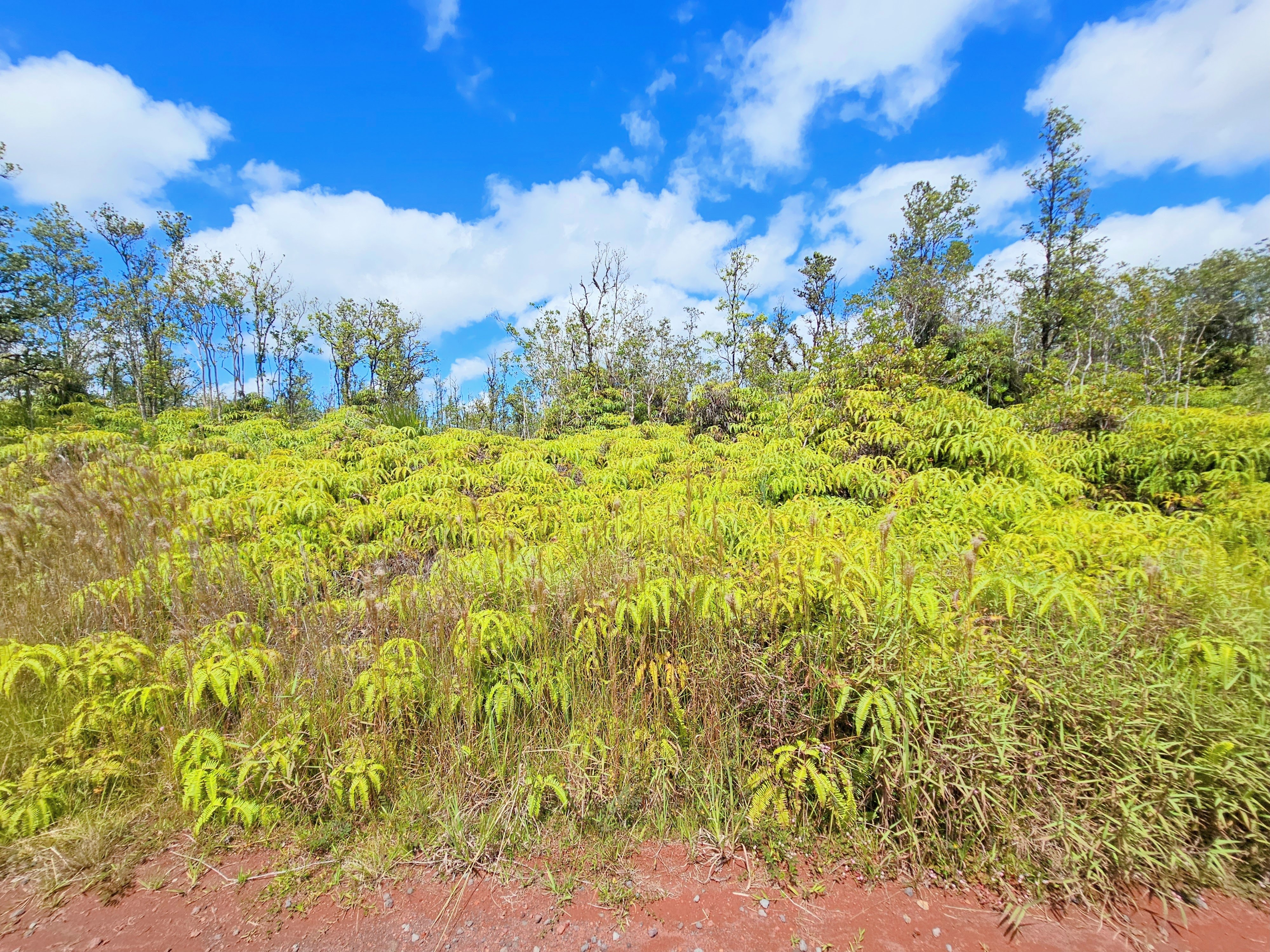 8531 Apele Road Mountain View, HI 96771 - Photo 7 of 15 Gallery Image 7