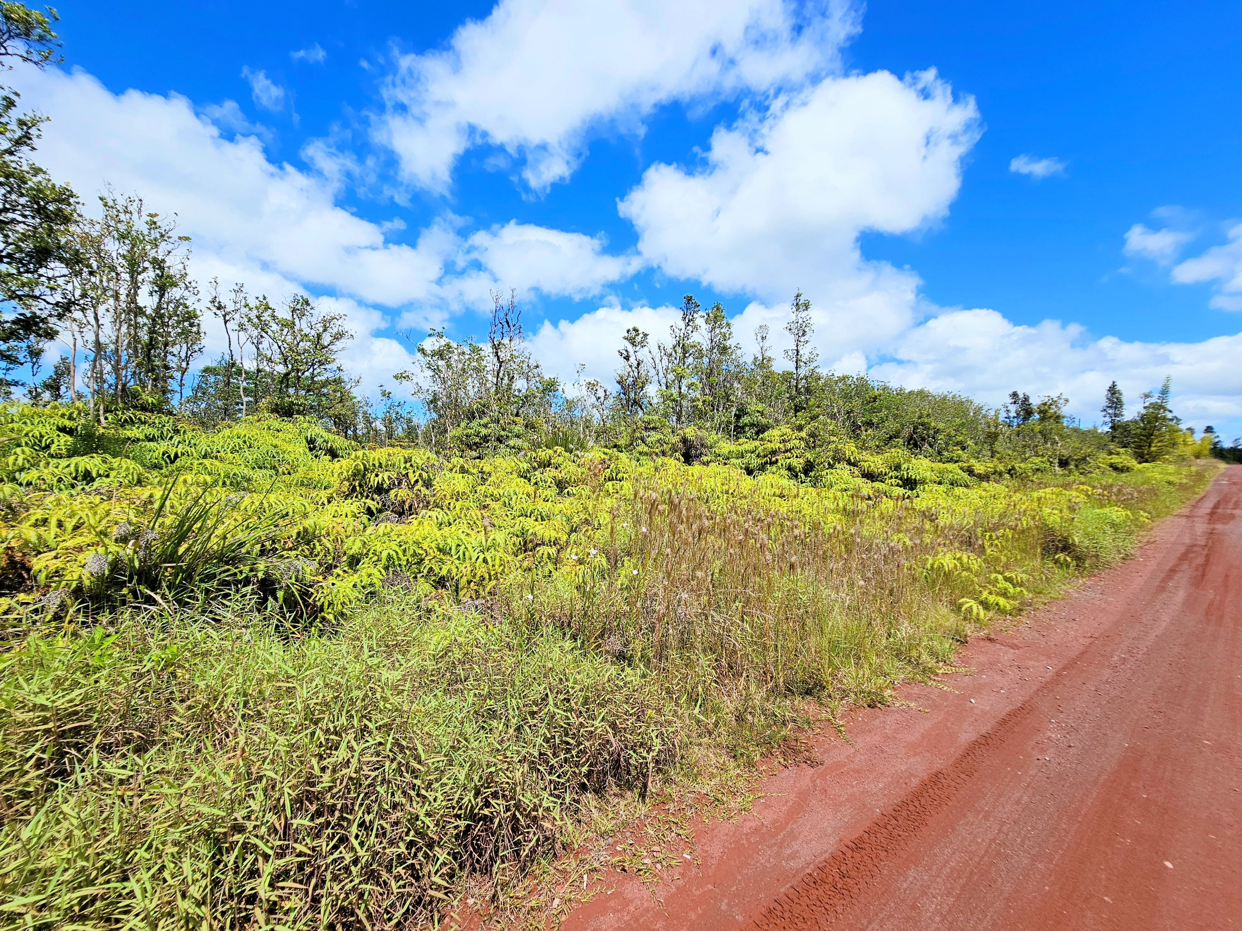 8531 Apele Road Mountain View, HI 96771 - Photo 9 of 15 Gallery Image 9
