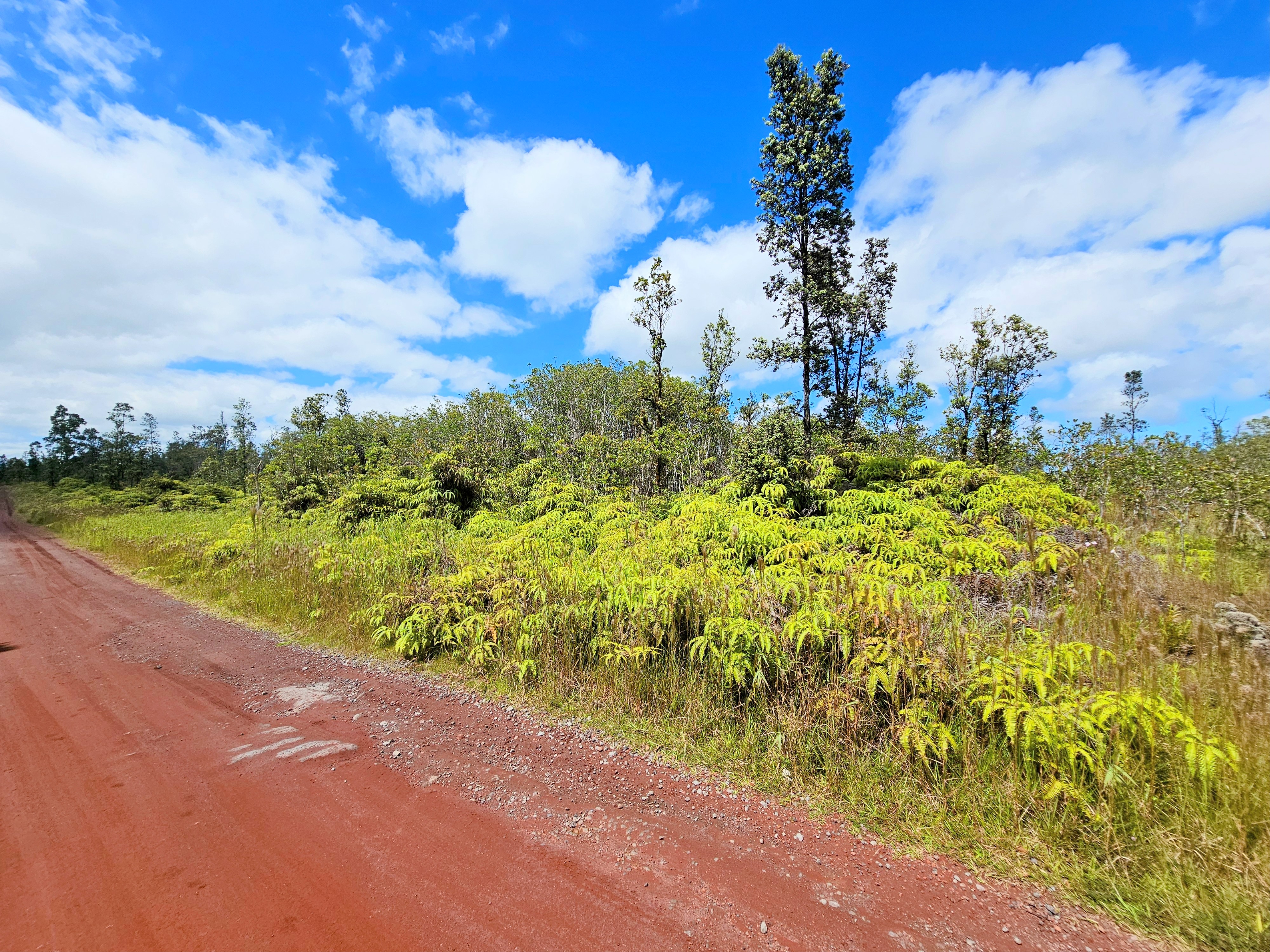 8531 Apele Road Mountain View, HI 96771 - Photo 10 of 15 Gallery Image 10