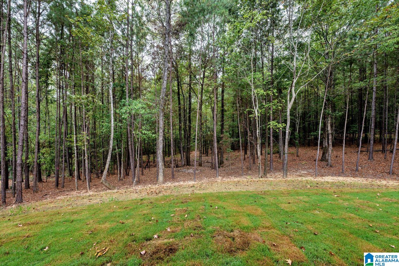 4580 Cabin Road Bessemer, AL 35022 - Photo 6 of 39