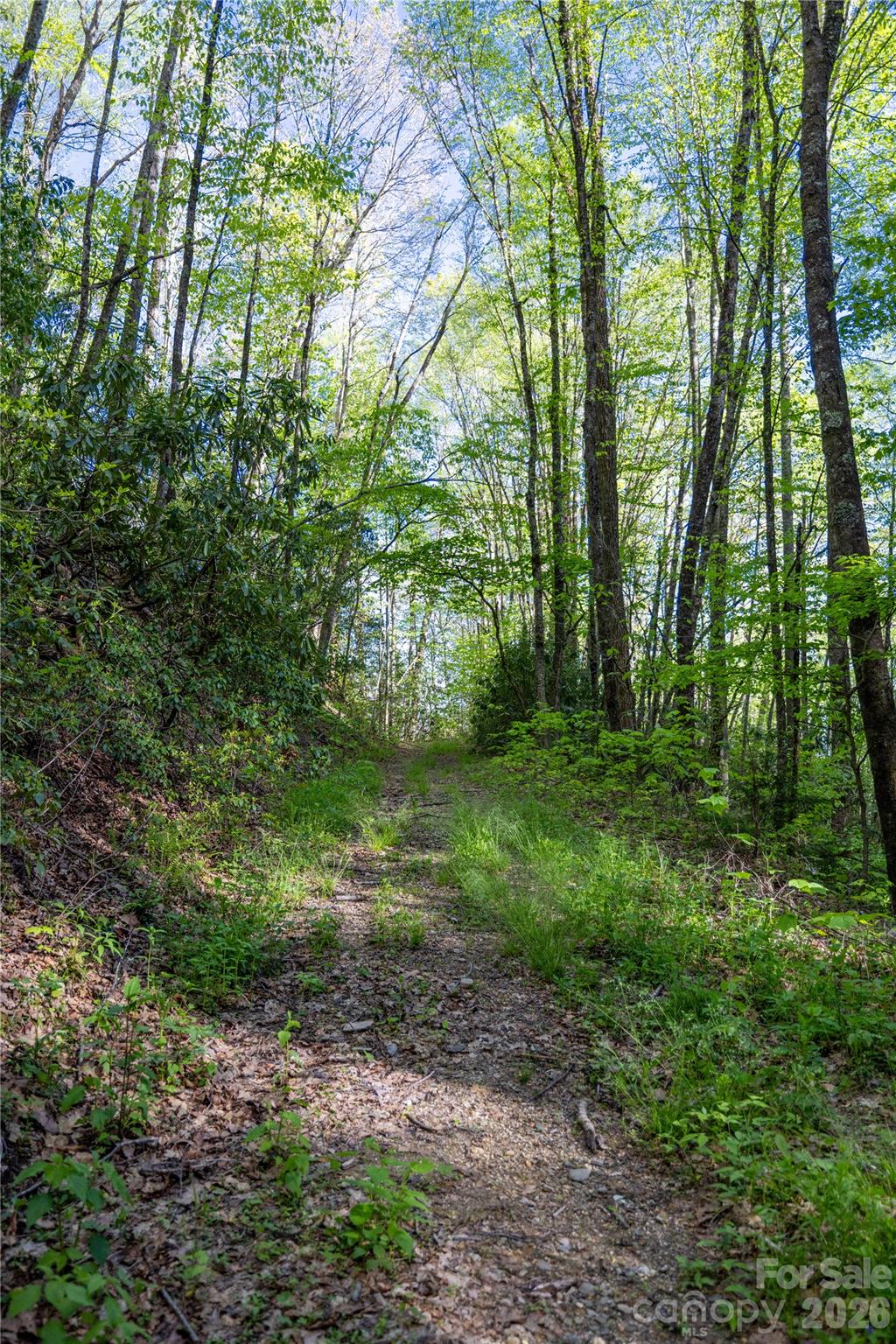 3409 Parris Branch Road Sylva, NC 28779 - Photo 18 of 19