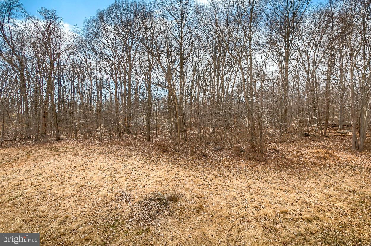 3352 Cedar Church Road Darlington, MD 21034 - Photo 20 of 23 Exterior (General)