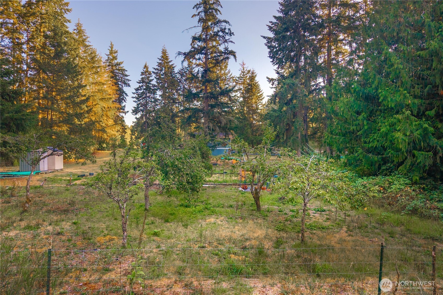 3917 240th Street East Spanaway, WA 98387 - Photo 30 of 40