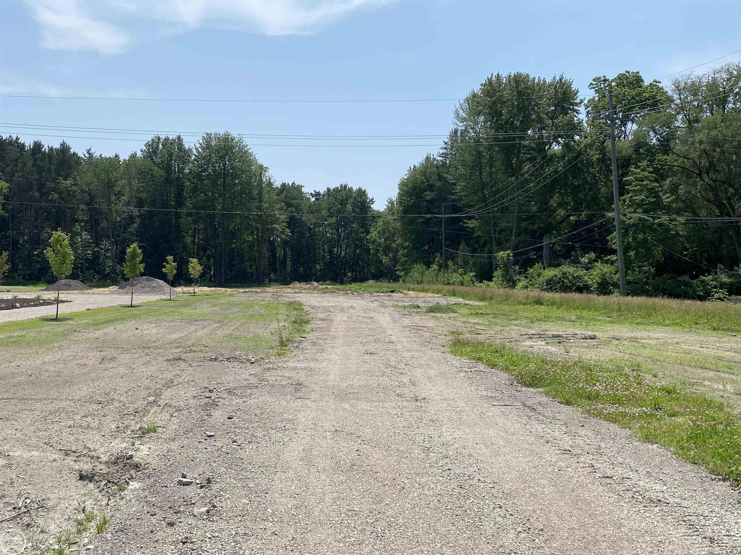 Vacant Pine Grove Road Fort Gratiot, MI 48059 - Photo 1 of 7