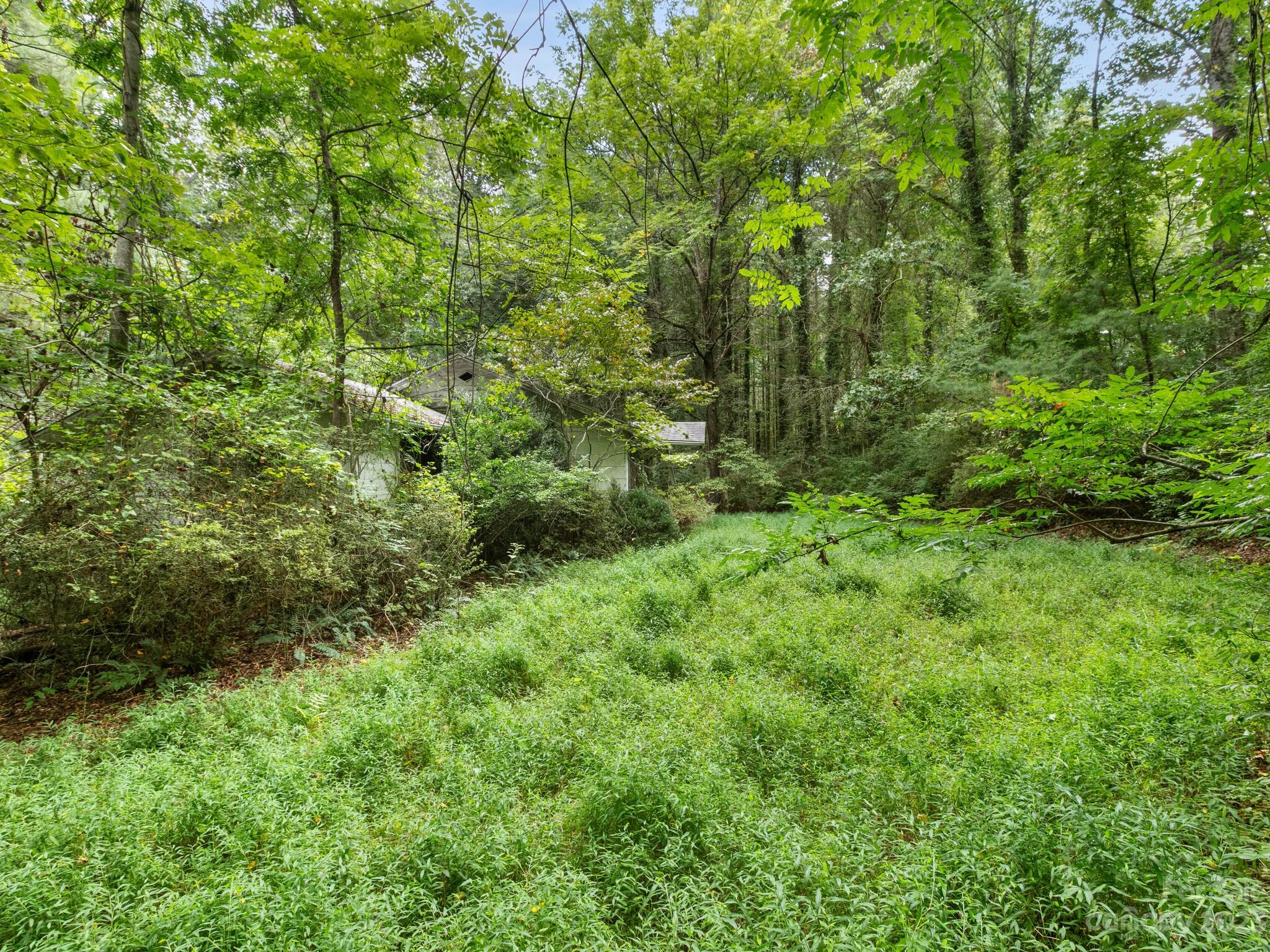 4089 Little River Road Hendersonville, NC 28739 - Photo 2 of 6