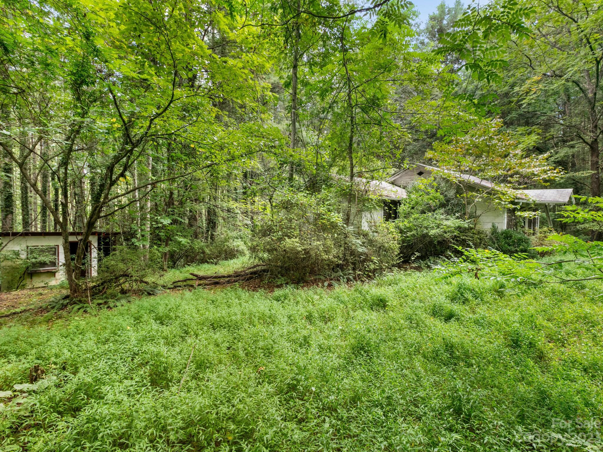 4089 Little River Road Hendersonville, NC 28739 - Photo 3 of 6