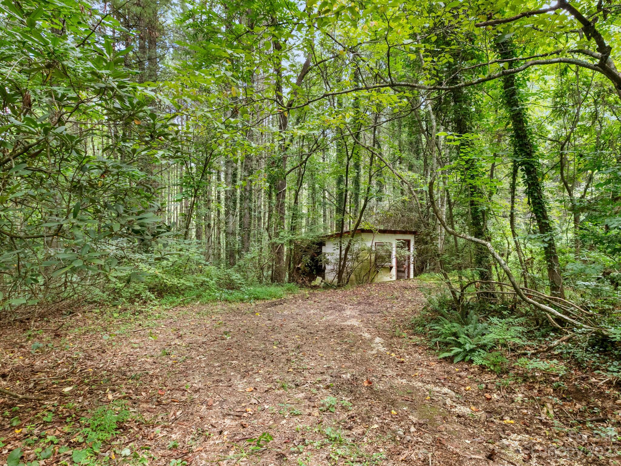 4089 Little River Road Hendersonville, NC 28739 - Photo 4 of 6