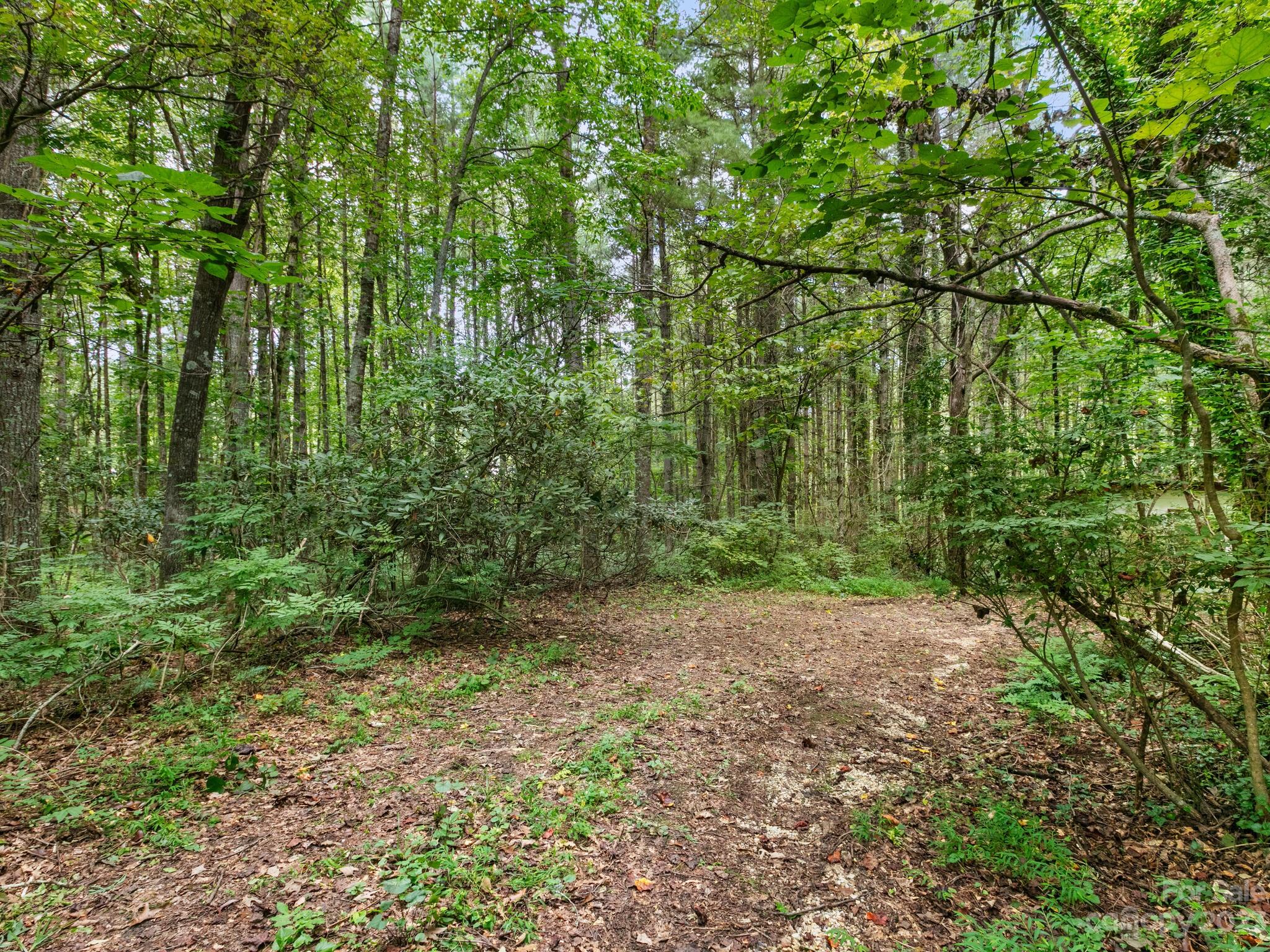 4089 Little River Road Hendersonville, NC 28739 - Photo 5 of 6