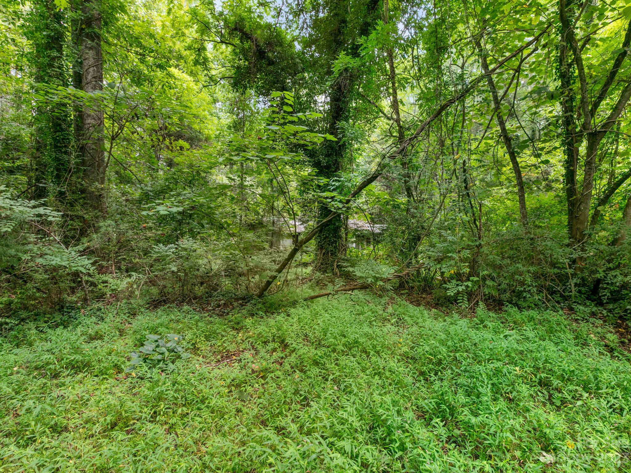 4089 Little River Road Hendersonville, NC 28739 - Photo 6 of 6