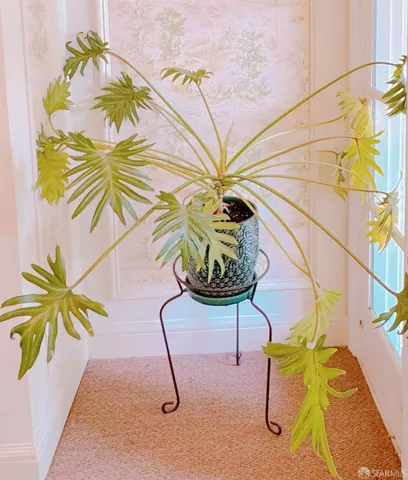 a vase of flowers sitting on a table