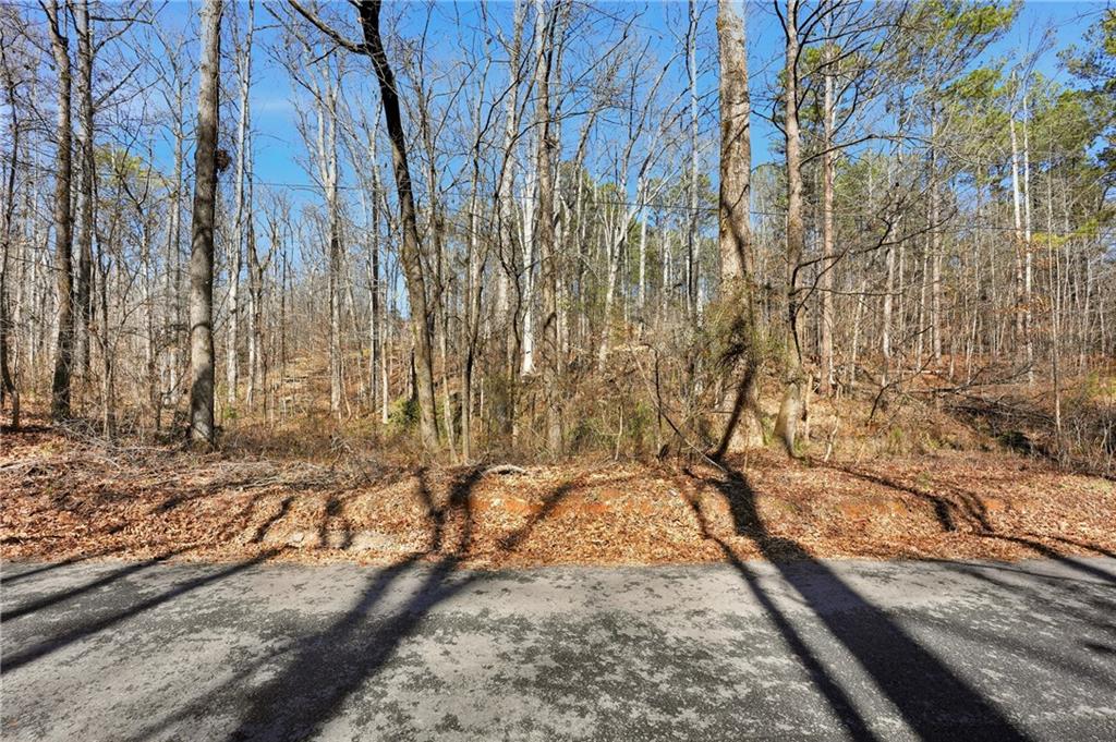 0 Pickett Bridge Road Covington, GA 30016 - Photo 10 of 22 a view of a yard with trees
