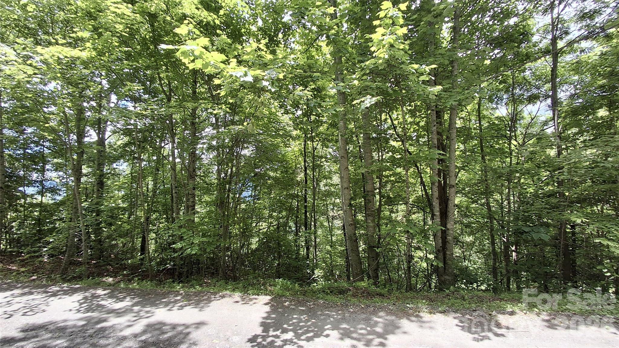 491 Signal Ridge, Unit 25 Sylva, NC 28779 - Photo 12 of 17