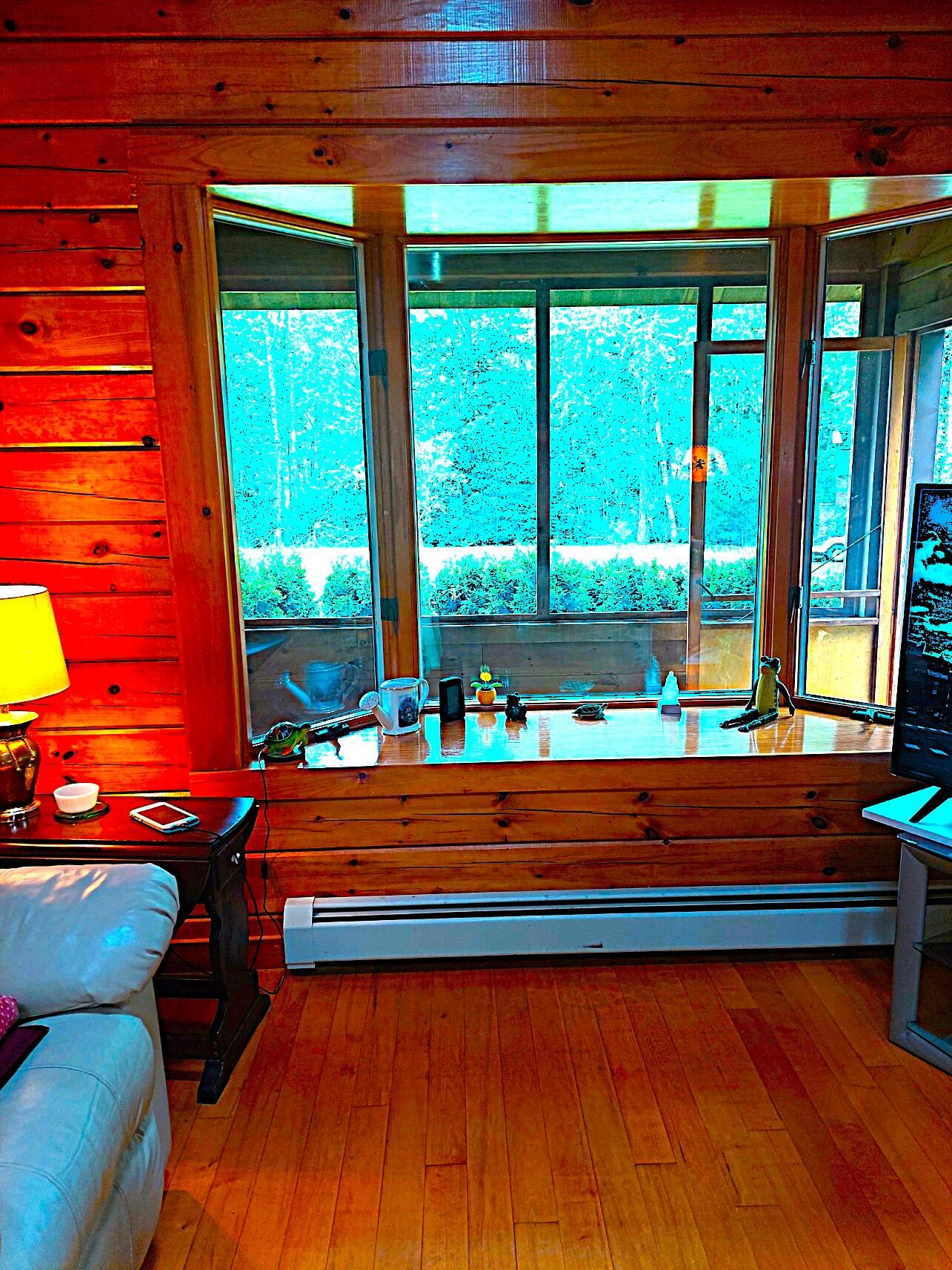 372 Forest Avenue Orono, ME 04473 - Photo 38 of 51 Frontwindow edited