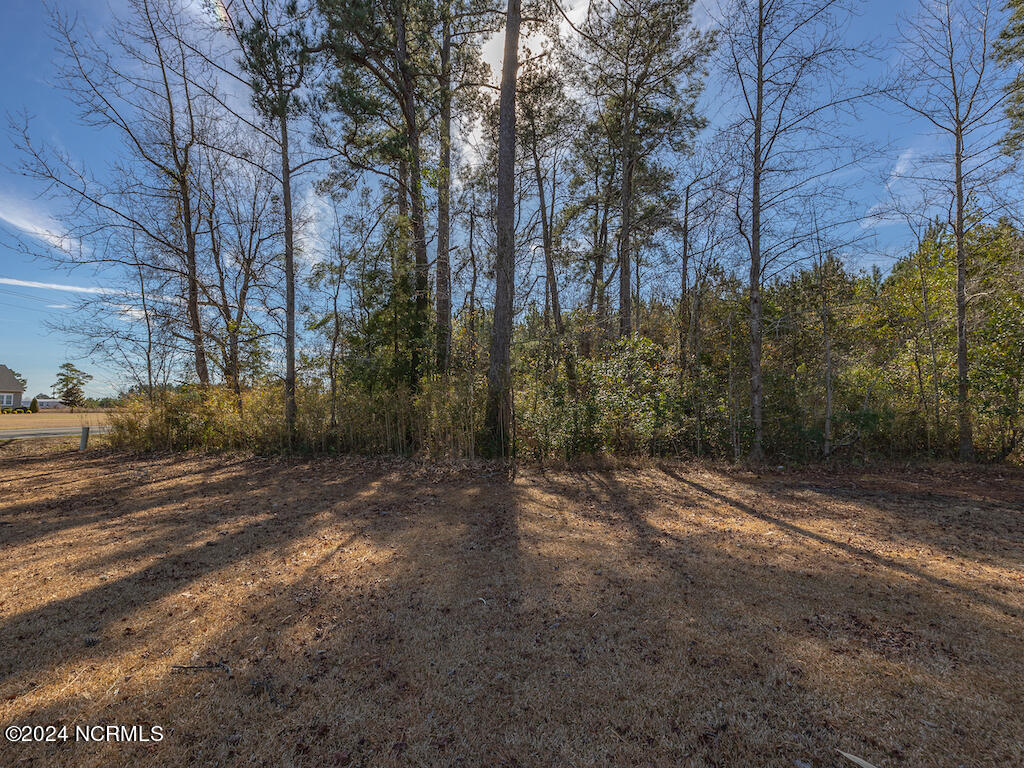 0 Hallsboro Road South Whiteville, NC 28472 - Photo 24 of 27 24