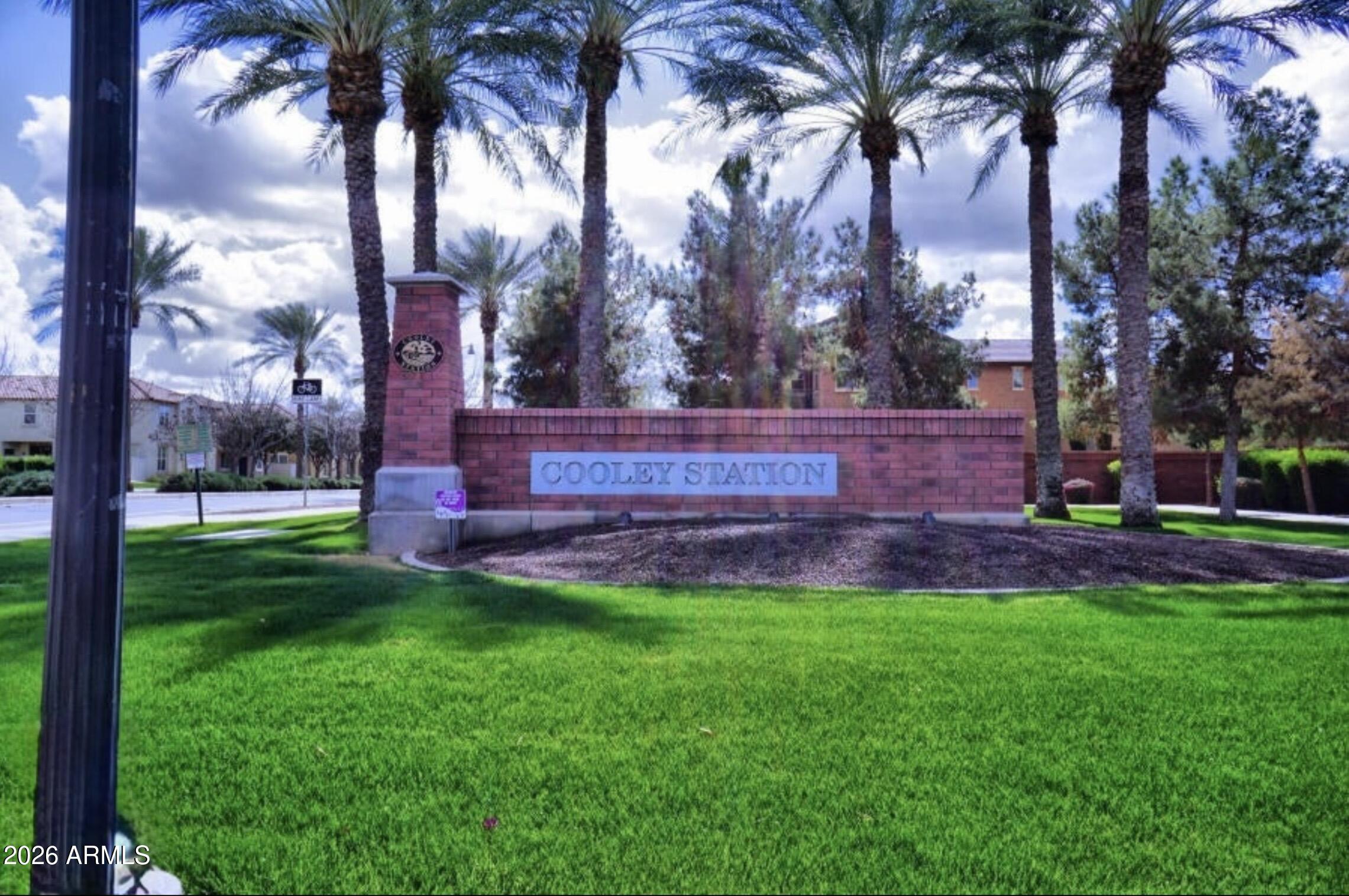 3701 East Hans Drive Gilbert, AZ 85296 - Photo 6 of 12 a view of yard with trees