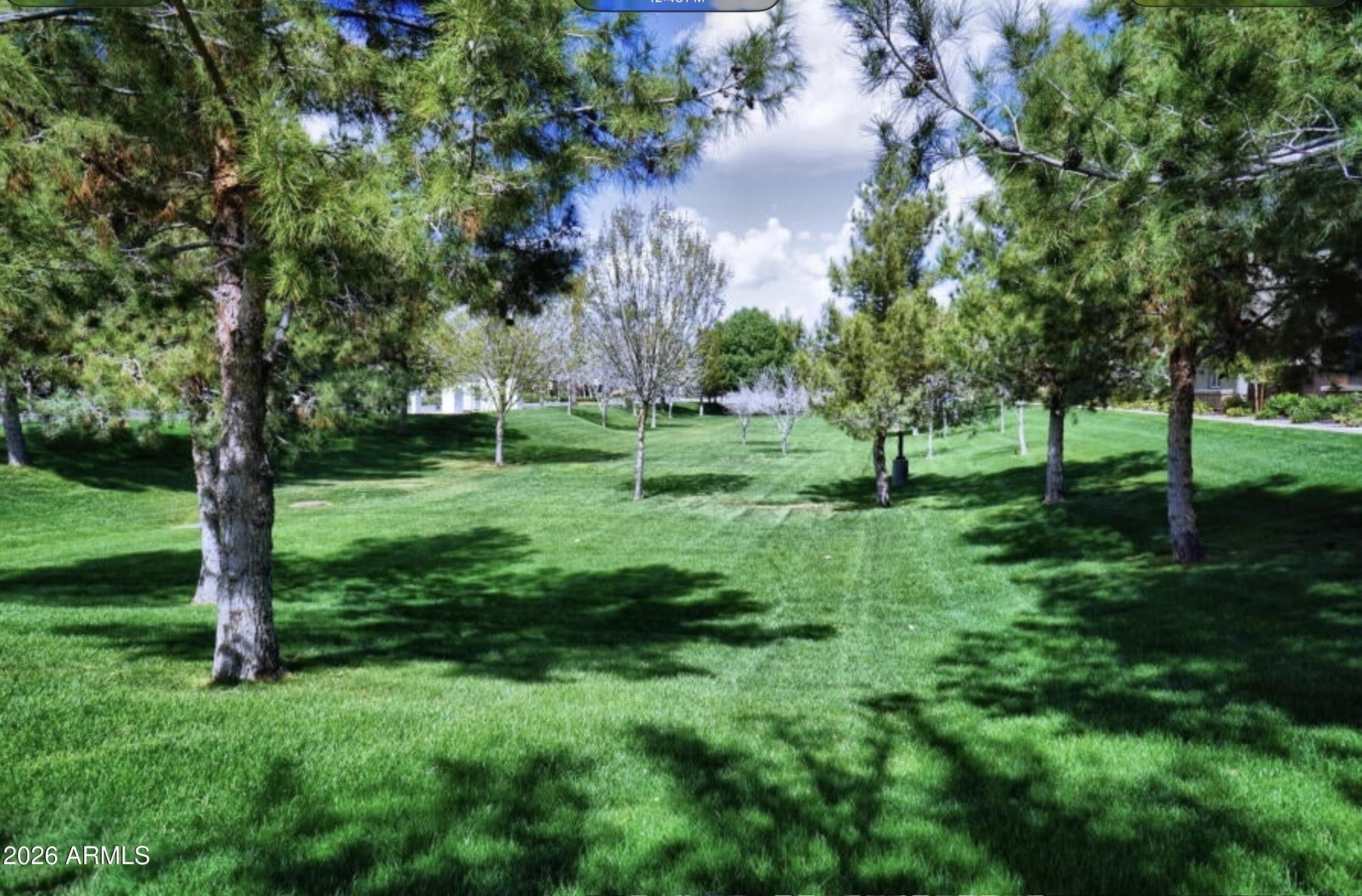 3701 East Hans Drive Gilbert, AZ 85296 - Photo 8 of 12 a view of a park with large trees