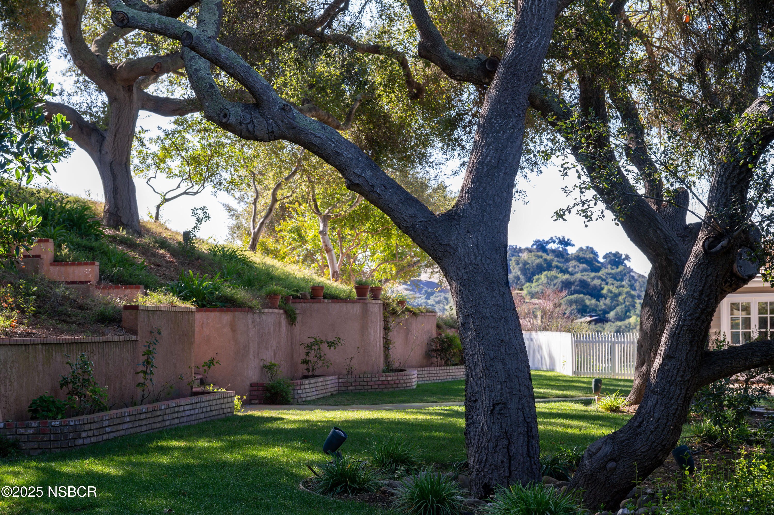 4086 East Oak Trail Road Santa Ynez, CA 93460 - Photo 25 of 57 a backyard of a house with lots of plants and a large tree
