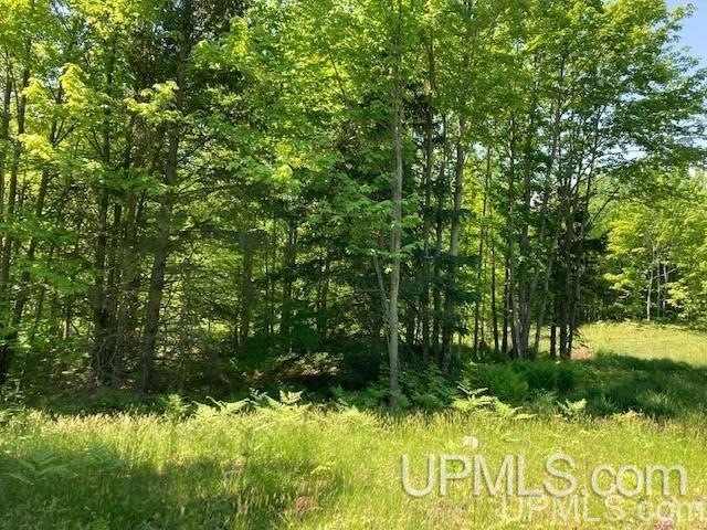 Tbd Worham Road Chassell, MI 49916 - Photo 14 of 45 Gallery Image 14