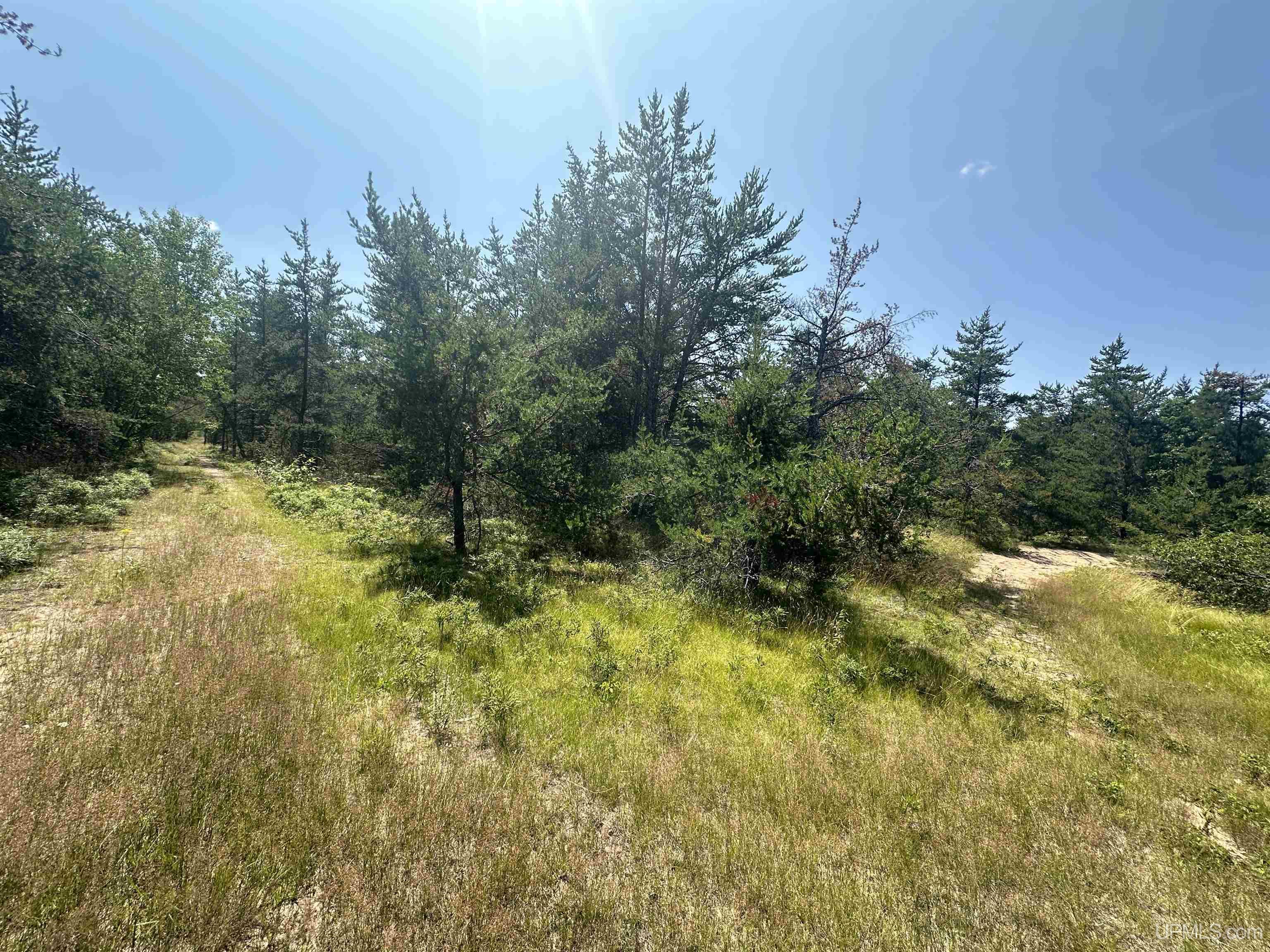 2020-2050 Co Road Little Lake, MI 49833 - Photo 36 of 39