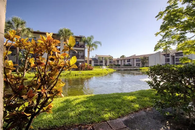 a view of a swimming pool with lawn chairs and plants
