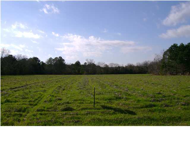 833 Zion Road Cross, SC 29436 - Photo 1 of 1 Primary Photo