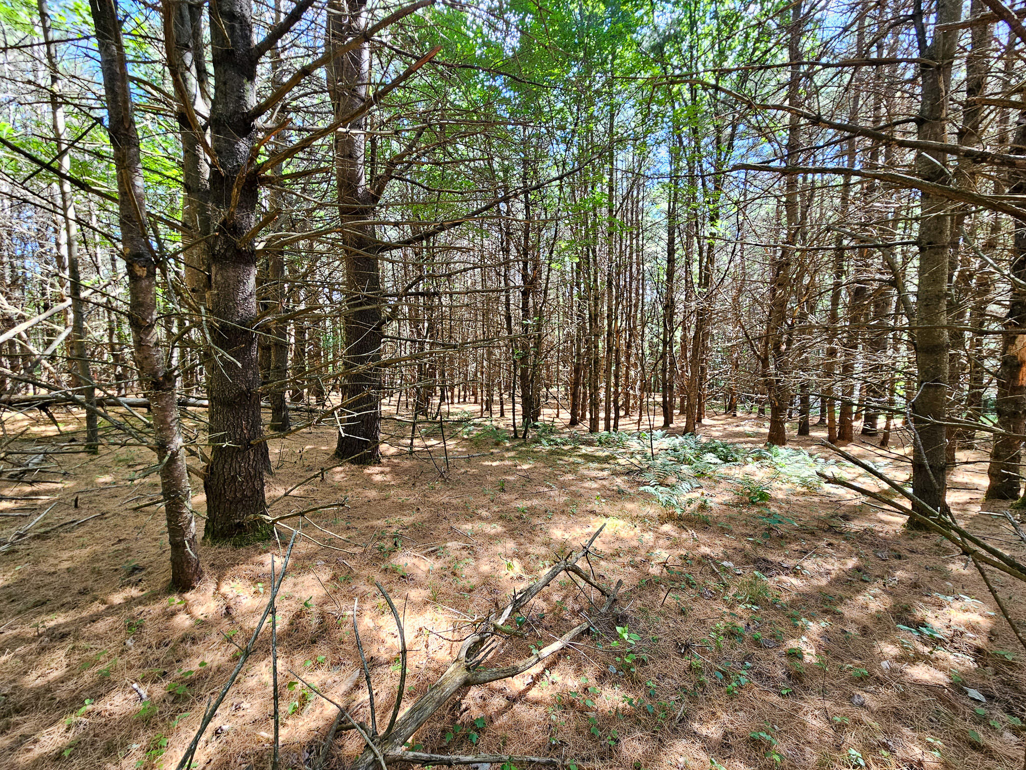 11-31-c Stone Hill Road Farmington, ME 04938 - Photo 15 of 22