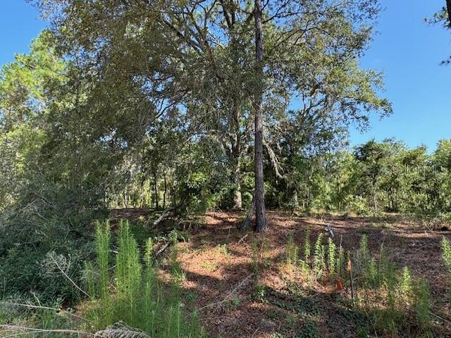 0 Southwest 75th St Rd  