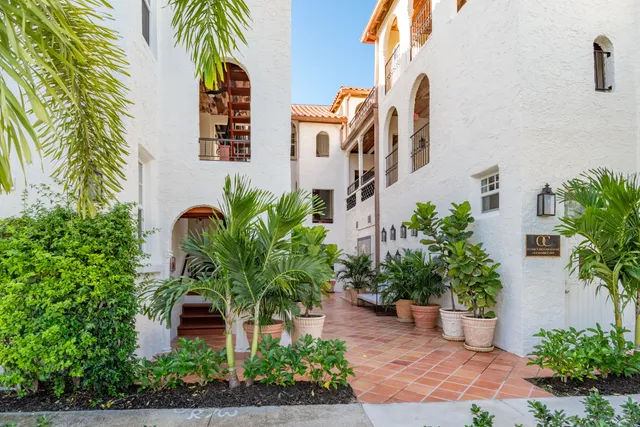 a potted plant sitting in front of a house