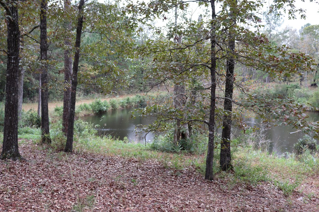 5589 Sandfort Road Seale, AL 36875 - Photo 30 of 31