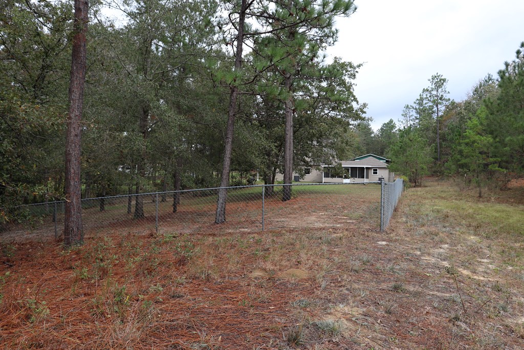 5589 Sandfort Road Seale, AL 36875 - Photo 31 of 31
