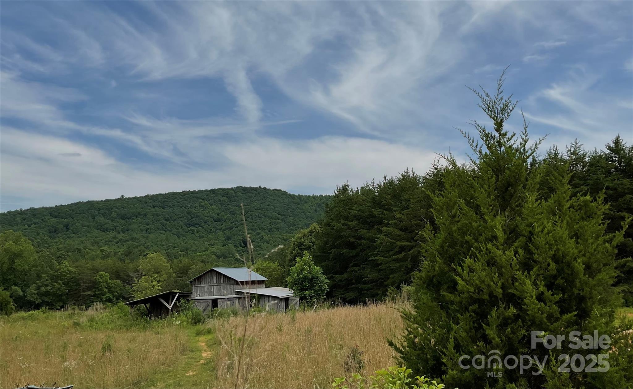 4282 Mt Gilead Church Road Connelly Springs, NC 28612 - Photo 4 of 12