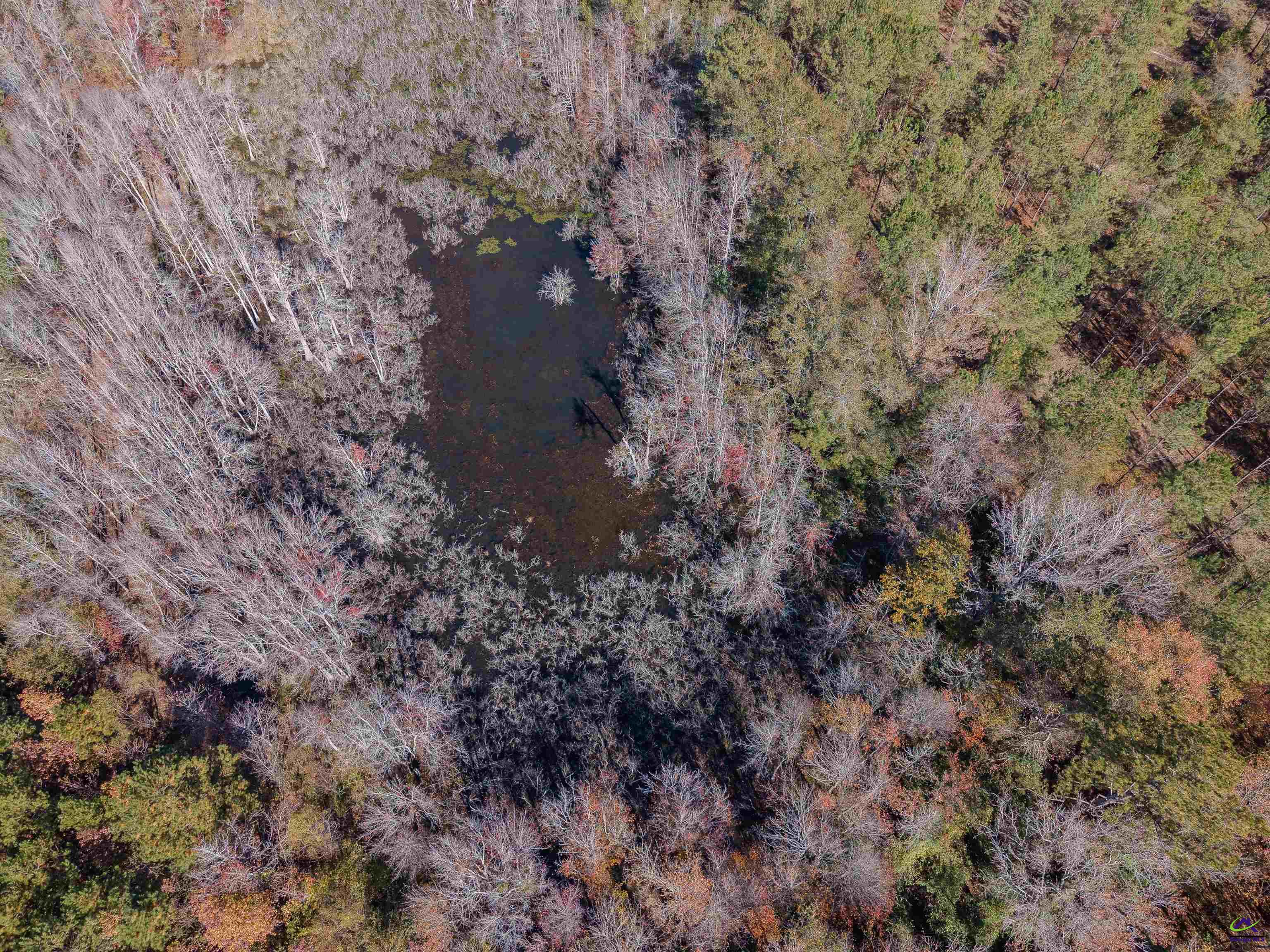 0 Avera Road Roberta, GA 31078 - Photo 3 of 5