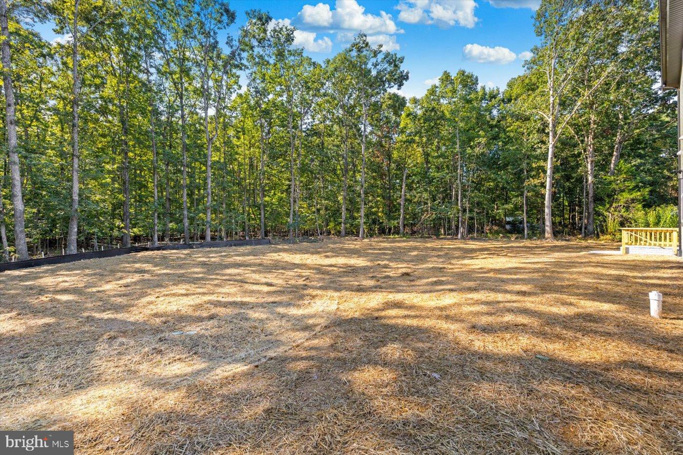 9019 Smiths Bend Road Fredericksburg, VA 22407 - Photo 53 of 57 a view of a outdoor space and basketball court