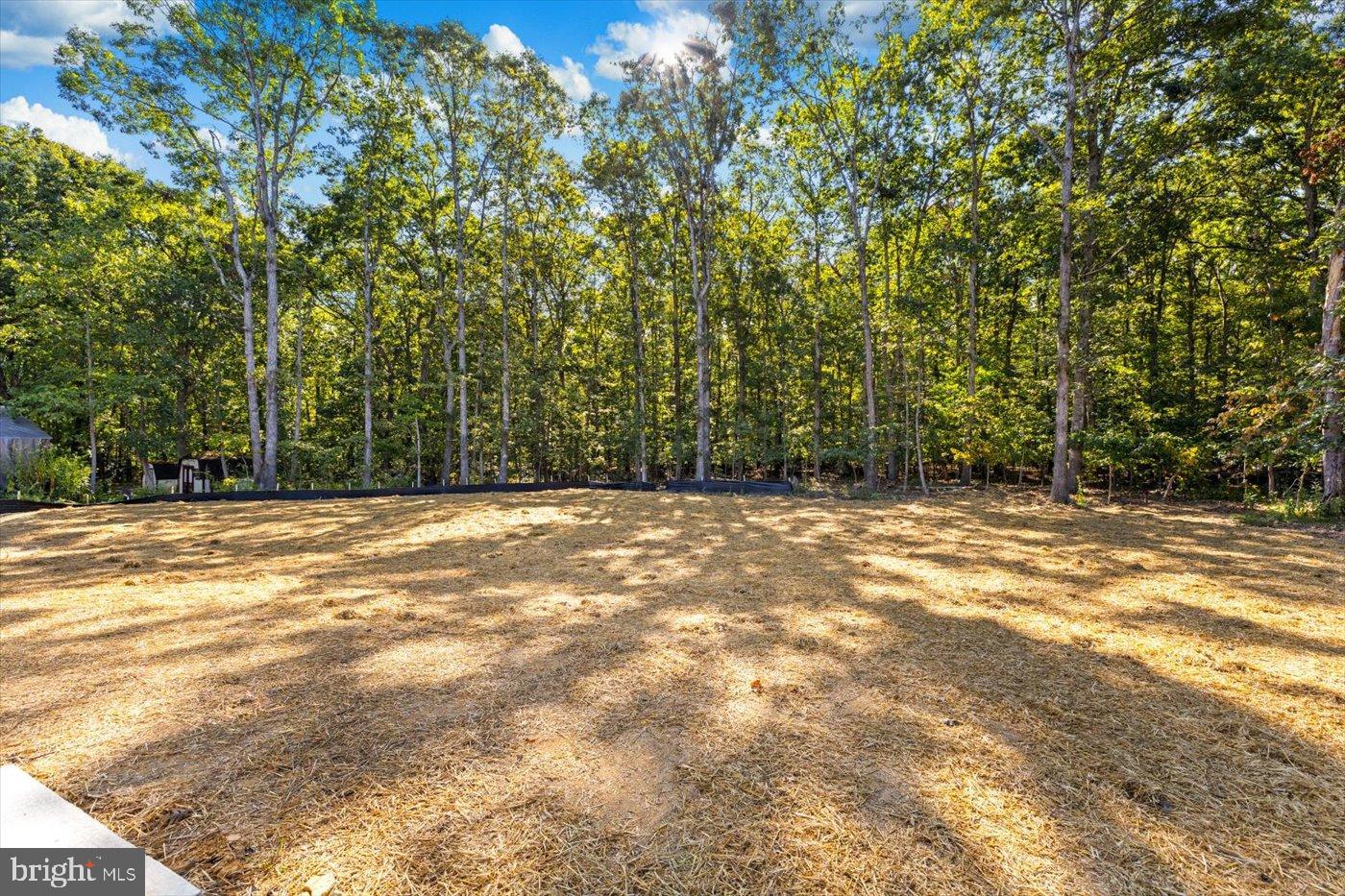 9019 Smiths Bend Road Fredericksburg, VA 22407 - Photo 57 of 57 a view of swimming pool and trees