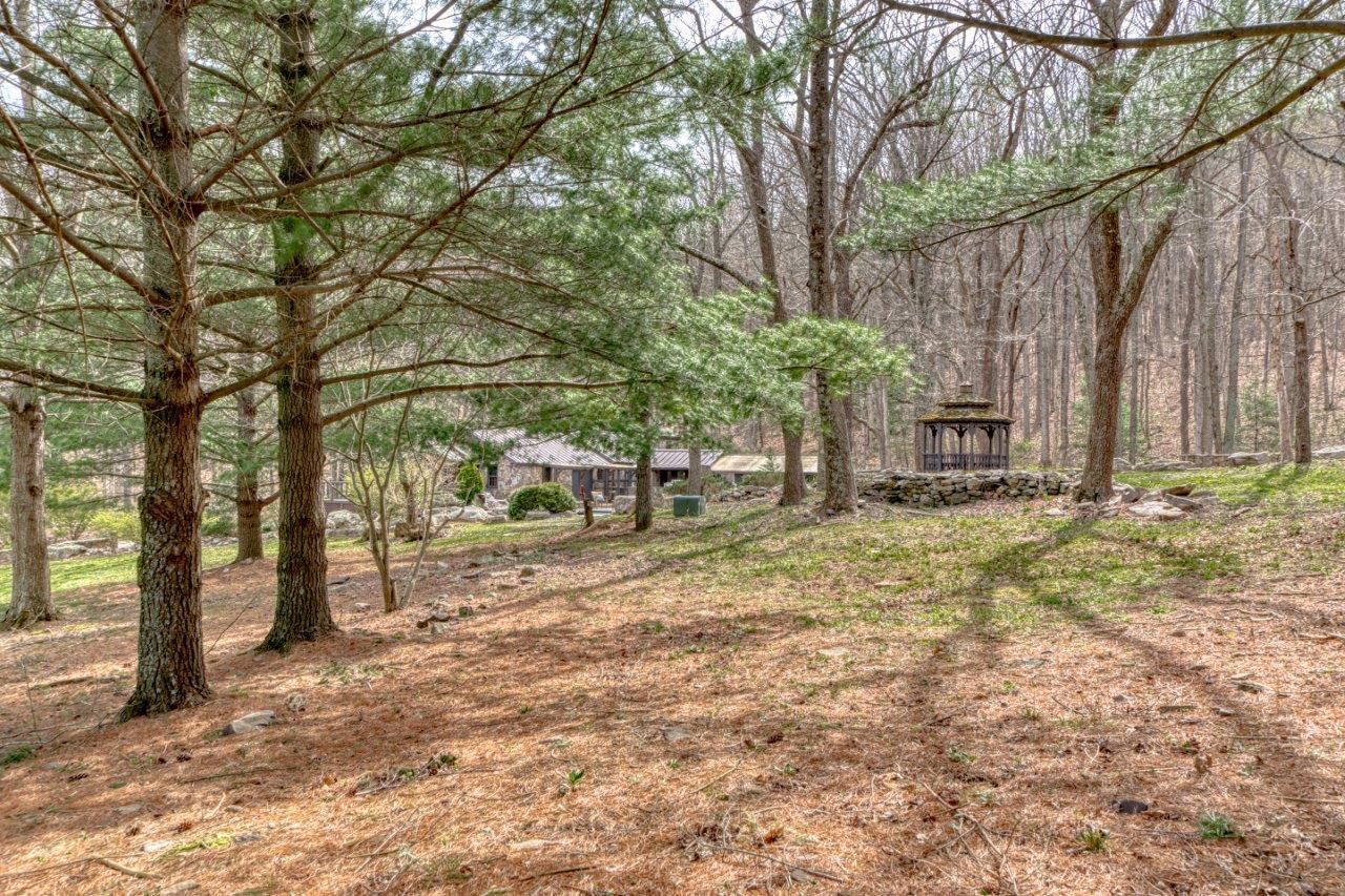 1696 Green Valley Road Peterstown, WV 24963 - Photo 123 of 132 a view of a yard with plants and trees