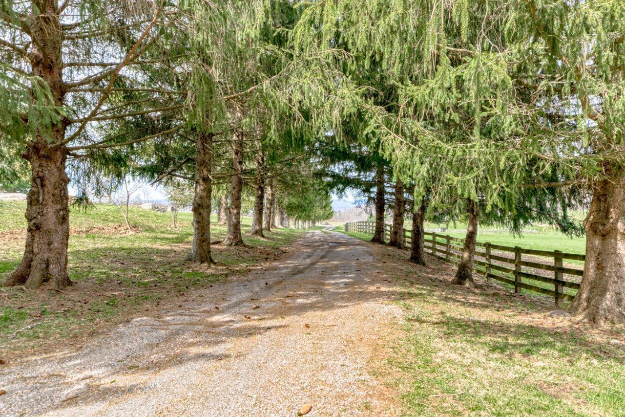 1696 Green Valley Road Peterstown, WV 24963 - Photo 132 of 132 1696-Green-Valley-Rd-Peterstown-Large-Gu