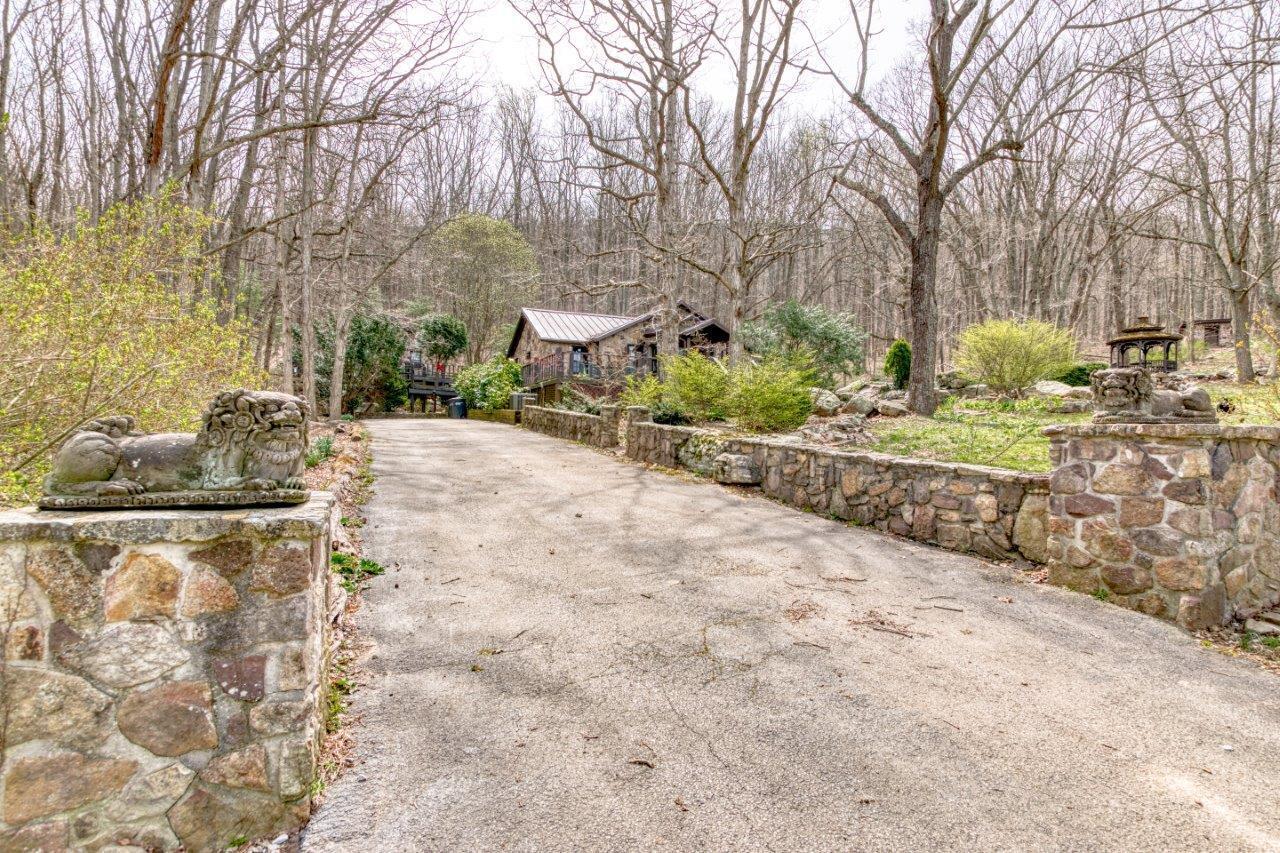 1696 Green Valley Road Peterstown, WV 24963 - Photo 15 of 132 a backyard of a house with lots of green space