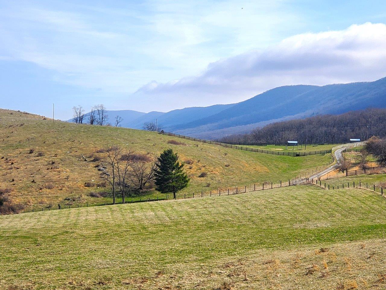 1696 Green Valley Road Peterstown, WV 24963 - Photo 3 of 132 20230301_110132