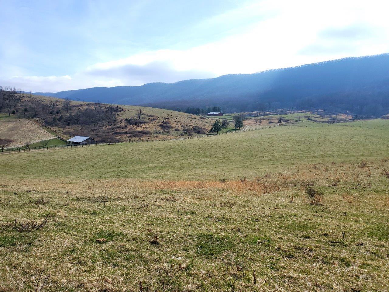 1696 Green Valley Road Peterstown, WV 24963 - Photo 5 of 132 20230301_110713_005