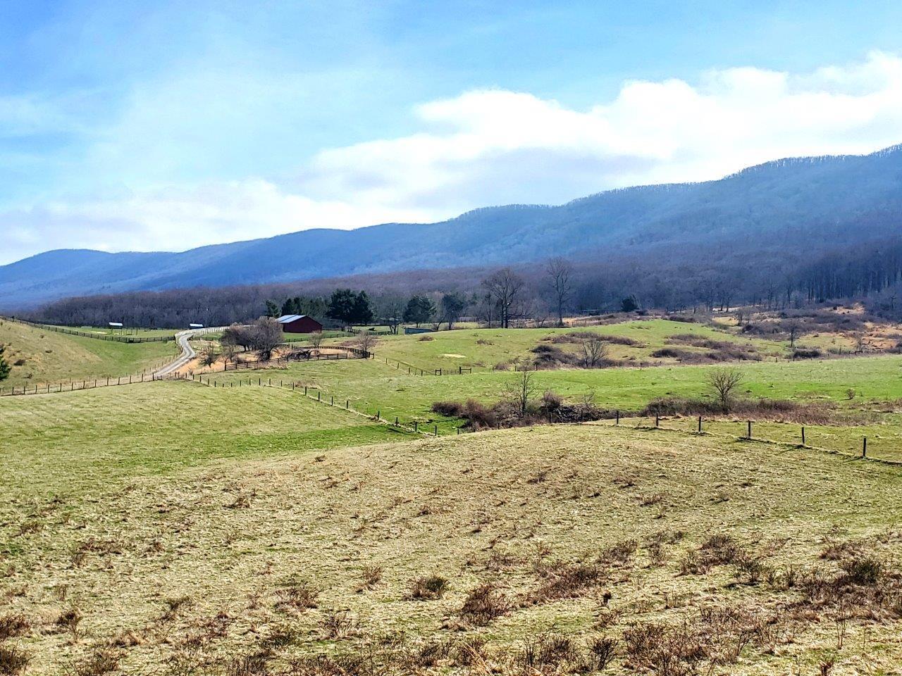 1696 Green Valley Road Peterstown, WV 24963 - Photo 7 of 132 20230301_111531