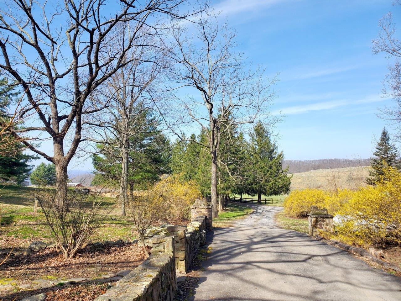 1696 Green Valley Road Peterstown, WV 24963 - Photo 8 of 132 a view of a yard with trees